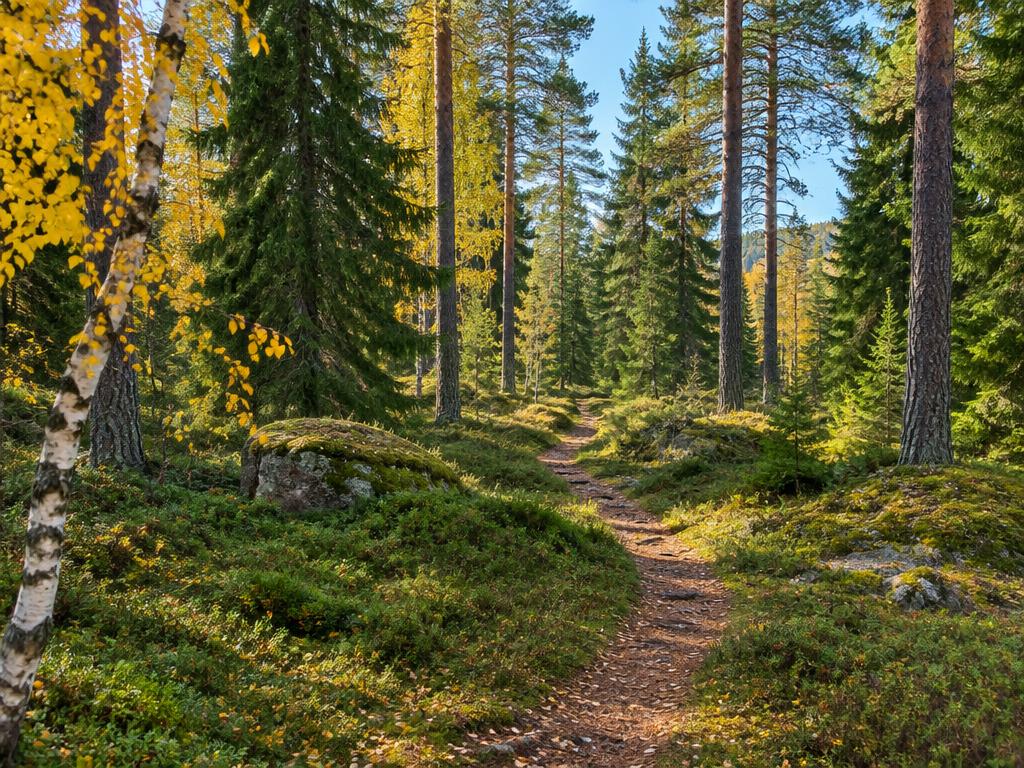 Ut i det gröna
